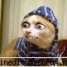 Durere Durere Durere :)) - Obscenu - Funny