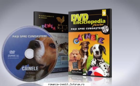 ENCICLOPEDIA JUNIOR - Pasi spre cunoastere - ERC PRESS - Enciclopedia.Junior.-.Pa - Carti pentru copii - Books