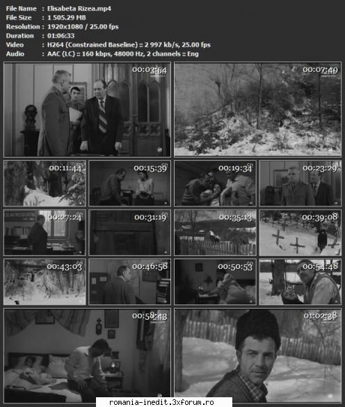 Elisabeta Rizea (2013) - Regia Constantin Popescu Scenariul Constantin - Filme rom�nesti - Romanian Movies