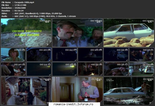 Escapada (1986) - sasadoru - Filme rom�nesti - Romanian Movies