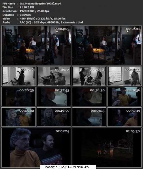 Ext. Mașină. Noapte (2024) - Ext. Mașină. Noapte - Filme rom�nesti - Romanian Movies