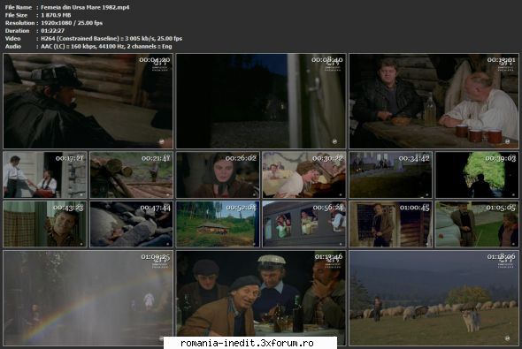 Femeia din Ursa Mare (1982) - sasadoru - Filme rom�nesti - Romanian Movies