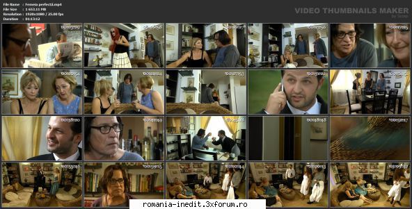 Femeia perfectă (2013) (Teatru TV) - sasadoru - Teatru rom�nesc - Romanian Theater