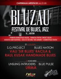 Festivalul Bluzau (2013) - Lineup Trupe: Blues Nation SG Project - Albume MP3 romanesti - Romanian MP3 albums