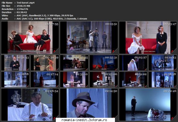 Festivalul National de Teatru '2020 (Teatru) - Traducerea �n limba maghia - Teatru rom�nesc - Romanian Theater
