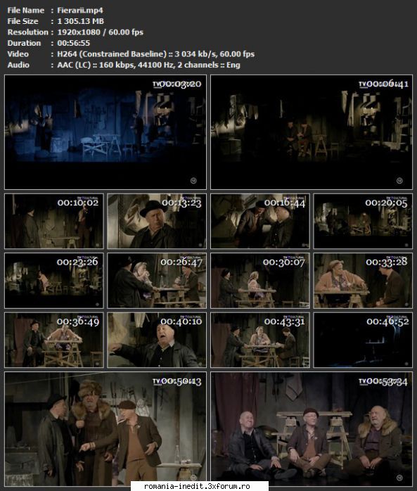 Fierarii (Teatrul de Comedie) - sasadoru - Teatru rom�nesc - Romanian Theater