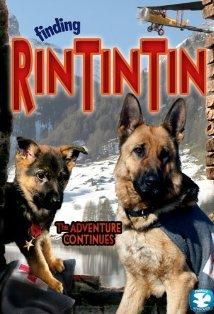 Finding Rin Tin Tin (2007) - Finding Rin Tin Tin (2007) - Filme - Movies