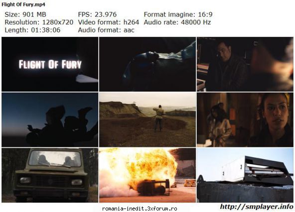 Flight Of Fury DVDRip - Flight Of Fury (2007) Inamicul invizibil Audio / - Filme - Movies