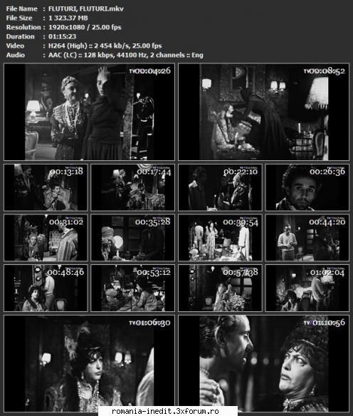Fluturi, Fluturi (1983)(TNTV) - Fluturi, Fluturi 8 februarie 1983 Autor - Teatru rom�nesc - Romanian Theater