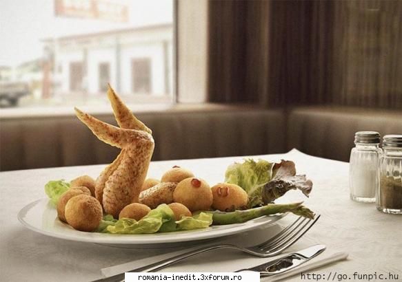 Friptura!!! - Xpector - Funny