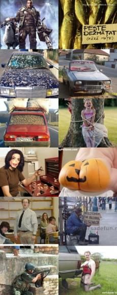 Funny Pictures - ovynumber1 - Funny