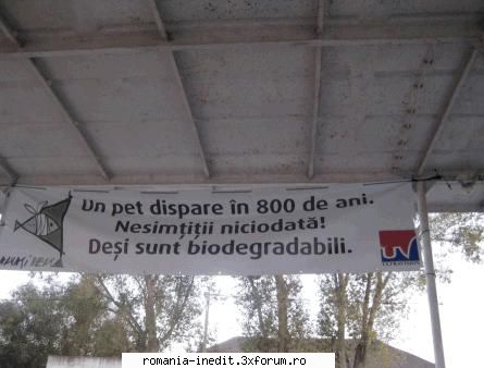Funny but....true and sad-mesaj in delta - Funny but....true and sad-mesaj in delta - Funny