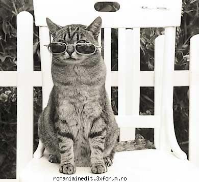 Funny funny pics! - Apropo free cat! matza a supravietzuit de fapt - Funny
