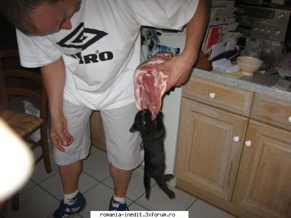 Funny pictures - icemann - Funny