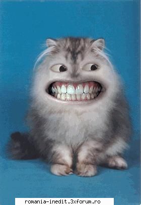 Funny pictures - Gata, asta e ultima pe care o postez - Funny