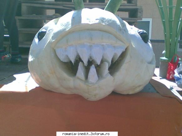 Halloween e card - poza facuta de mine - Off Topic