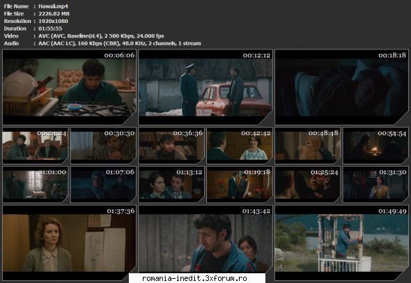 Hawaii (2017) - sasadoru - Filme rom�nesti - Romanian Movies