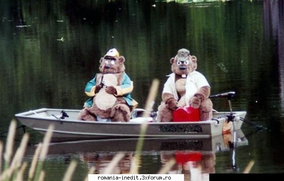Hey Yogi!!... Yes Bubu?! - Xpector - Funny