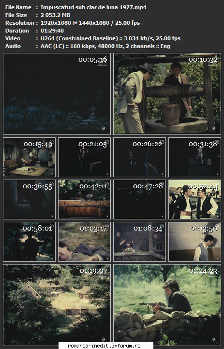 Impuscaturi sub clar de luna (1977) - sasadoru - Filme rom�nesti - Romanian Movies