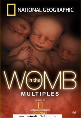 In the Womb : Animals (National Geographic) - National Geographic: In the Womb - Multiples - Filme - Movies