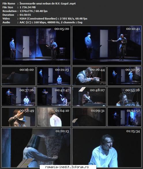 Insemnările unui nebun (ARCUB) (2013) - Insemnările unui nebun - Teatru rom�nesc - Romanian Theater