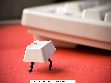 Intrebare adobe photoshop cs 3 - Unde trebuie sa dau paste la plugin-urile akvis - Tech Support