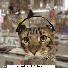 Intrebari si raspunsuri - Salutare ! Am si eu un medion p5430 cu GoPal pe - Mobile/ PDA / GPS Tech Support