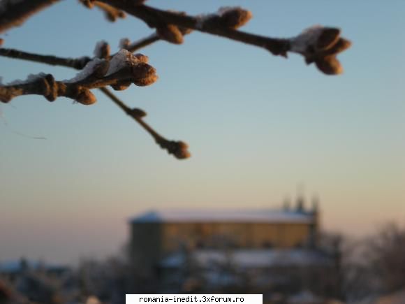 Italy pictures - Serramazzoni (MO) - Poze inedite - Original photos