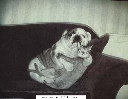 Iubire adevarata - all they need is love :)))) unde i Mircea Radu ? - Funny