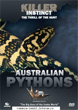 Killer Instinct - Australian Pythons (2005) - DVDrip, English. avi. Pythons are relatively - Filme - Movies