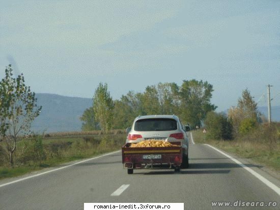 La ce este bun un Q7 ? - soril_007 - Funny