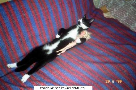 Love in is the air - fanebabanu' - Funny