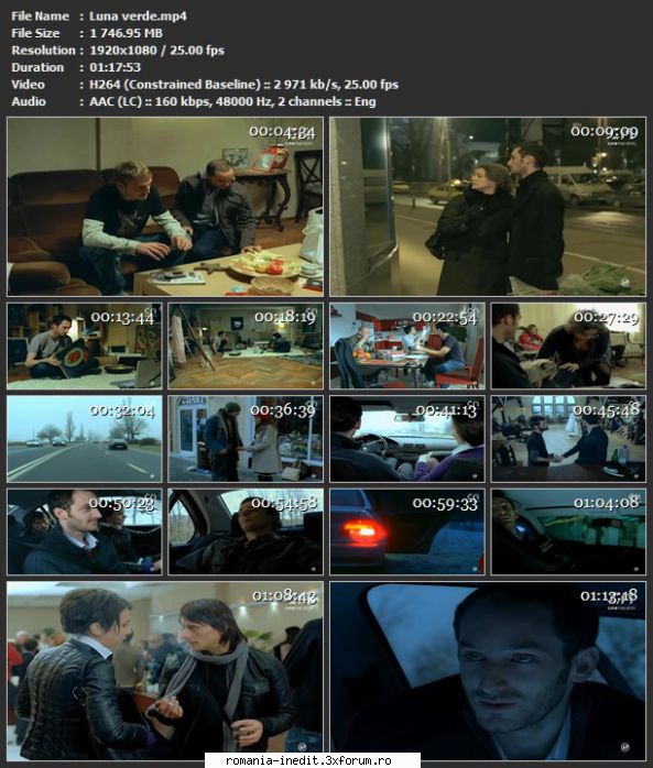 Luna verde (2010) - sasadoru - Filme rom�nesti - Romanian Movies