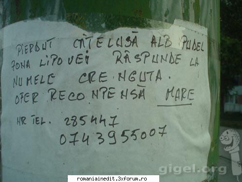 Made in Romania 7 - Raven - Funny