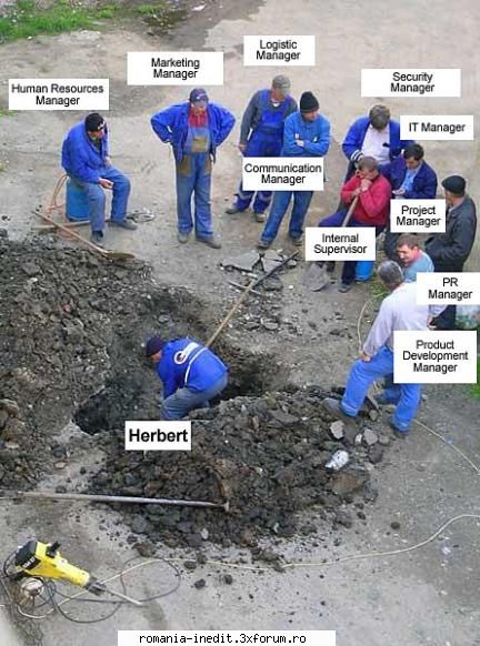 Management - mehigh_83 - Funny