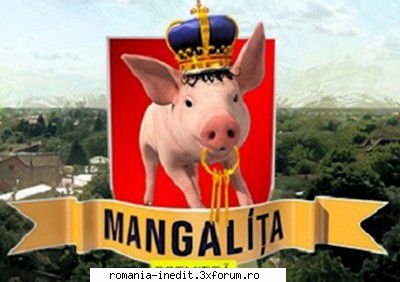 Mangalita (2019) - Mangalița (2019) - Episod 1 Votati - TV Shows