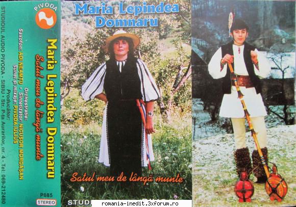 Maria Lepindea Domnariu - Satul meu de langa munte - sorin00098 - Muzica populara romaneasca - Romanian folk