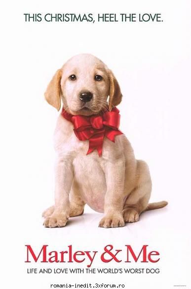 Marley And Me - dragon_fly - Filme - Movies