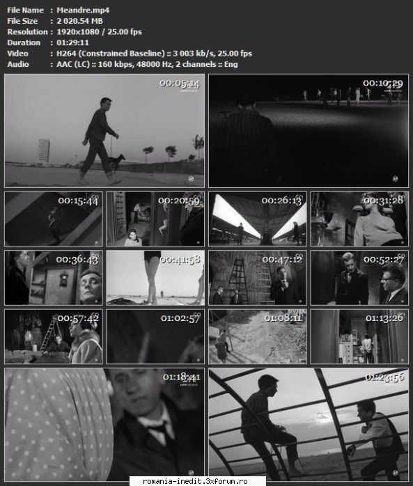 Meandre (1966) - sasadoru - Filme rom�nesti - Romanian Movies