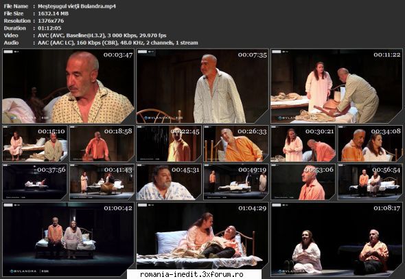 Mestesugul vietii (2011) (Teatrul Bulandra) - sasadoru - Teatru rom�nesc - Romanian Theater