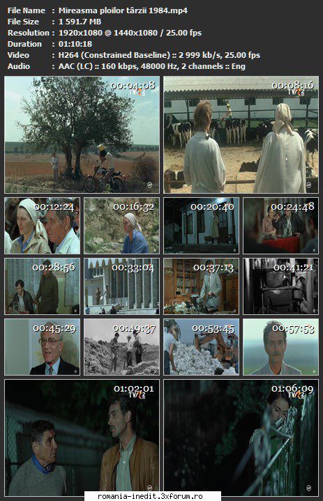 Mireasma ploilor tirzii (1985) - sasadoru - Filme rom�nesti - Romanian Movies