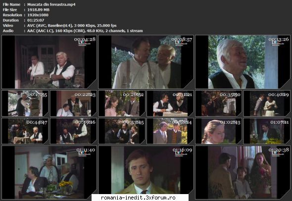 Mușcata din fereastră (1986) (Teatru TV) - sasadoru - Teatru rom�nesc - Romanian Theater