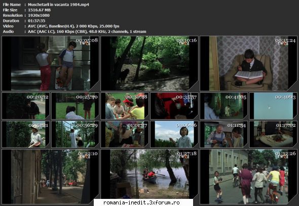 Muschetarii in vacanta (1984) - sasadoru - Filme rom�nesti - Romanian Movies