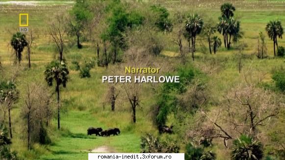 [NG] Gorongosa: Africa's Lost Eden (2009) - Gorongosa - Africa's Lost Eden (2009) - Filme Documentare