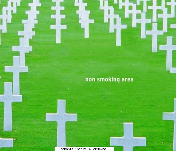 NON SMOKING AREA - SoDMaster - Funny