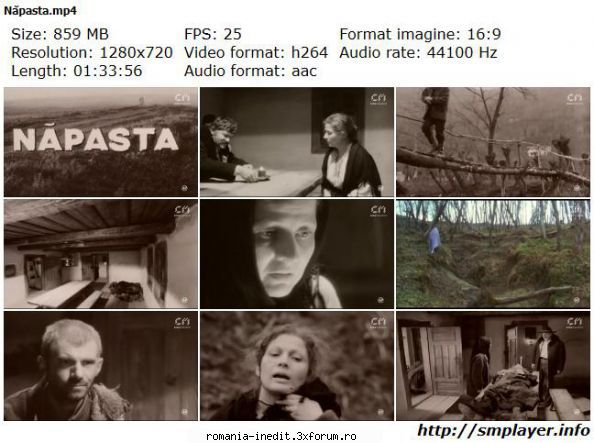 Napasta (1982) - Napasta (1982) The Misfortune - Filme rom�nesti - Romanian Movies
