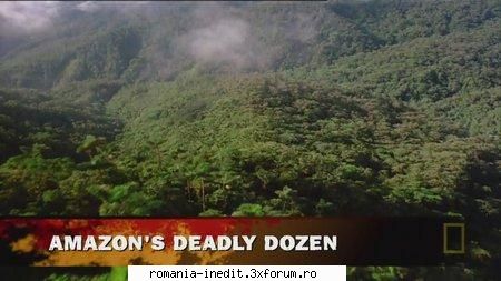 Nat Geo - World's Deadliest Animals : Amazon - Nat Geo - World's Deadliest Animals - Filme Documentare