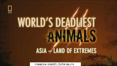 Nat Geo - World's Deadliest Animals:Asia - Nat Geo - World's Deadliest Animals : Asia [ - Filme Documentare