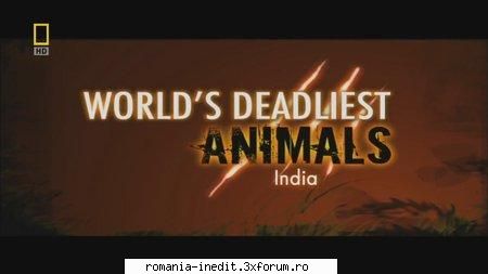 Nat Geo - World's Deadliest Animals : India - Nat Geo - World's Deadliest Animals : India - Filme Documentare