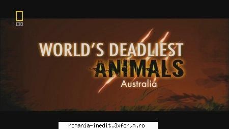 Nat Geo:World's Deadliest Animals:Australia - Varianta HDTV : National Geographic - Filme Documentare